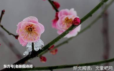 为我所用的名言_关于为我所用的名言