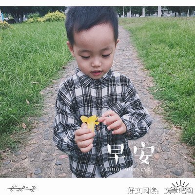 关于苏家的格言
