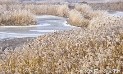 等老了，不讨儿女嫌，记住这10条。