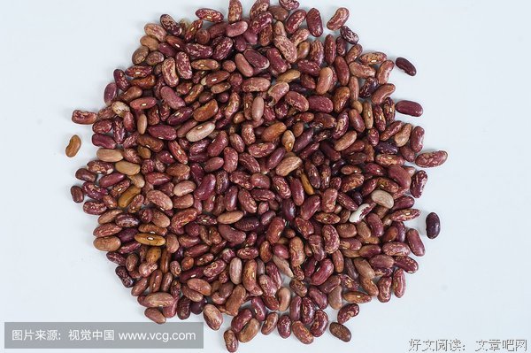 《子就年能是去水狱种子就门》的句子