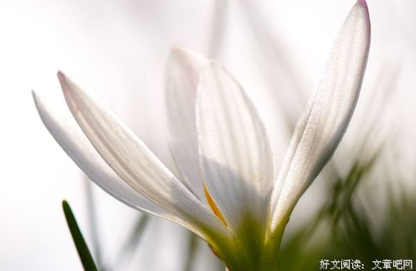 细节的力量（深度好文） 