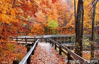 关于西风凋碧名言名句