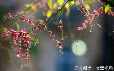 透彻的名句_关于透彻的名句