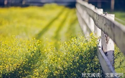 信任很贵，不要轻易浪费