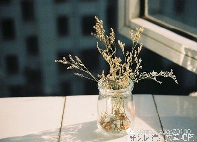 家族一代旺过一代的秘密！不看亏大了！