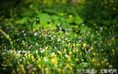Dove `chen的句子