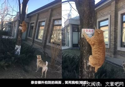自己喜欢，喜欢自己