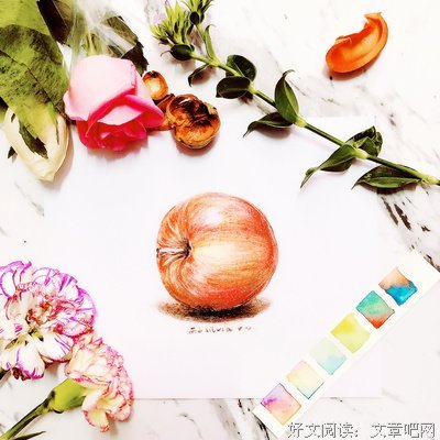 晴川经典语录