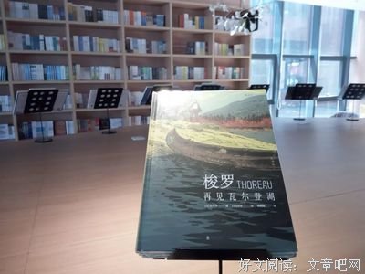 关于阅读优美的句子