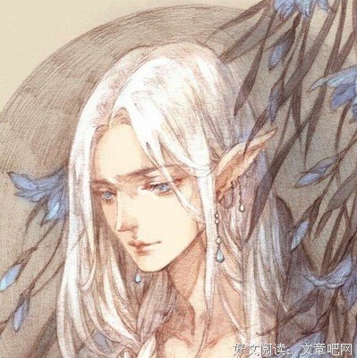 有关最美不过你的句子