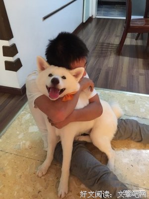 你就是仗着他爱你，才这么欺负他