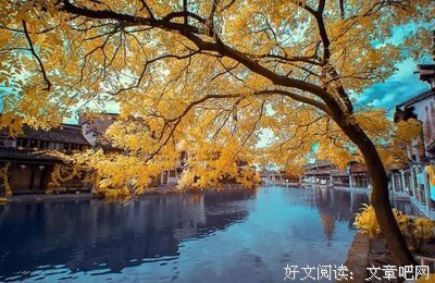 卸下你的累（写的真好）