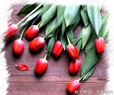 独守经典的句子