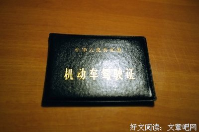 关于领的句子