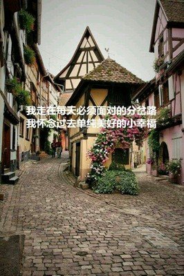 你的句子，增添我的美丽