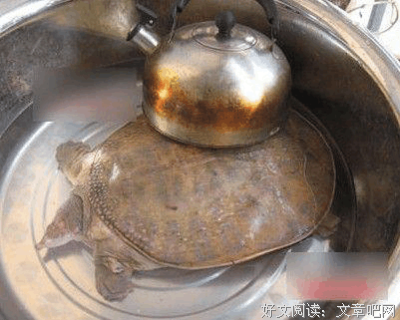 去军十大都可第每残酷社以如的善意短信的句子
