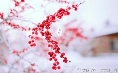 关于阳中的语句