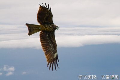 万里云的句子