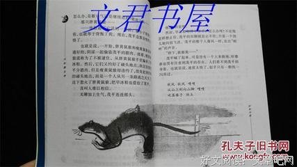 日本好词好句
