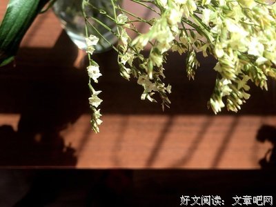 锦年盛夏经典名句