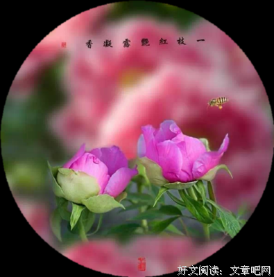 古语