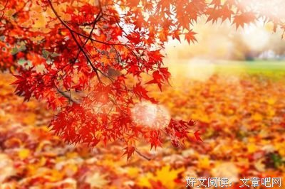 乐音惹人醉名句欣赏