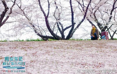 《奔腾岁月》经典影评集
