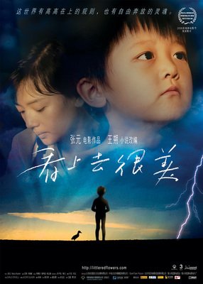 看上去很美读后感10篇