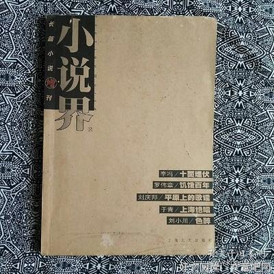 小说的界将不句子