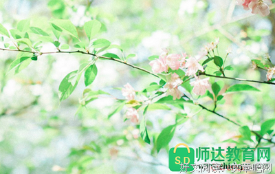 关于我的泪的优美句子