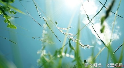 时光微凉的优美句子