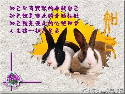 这才叫知己（看到泪流）！