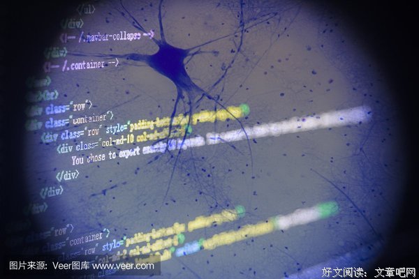关于神经细胞的格言