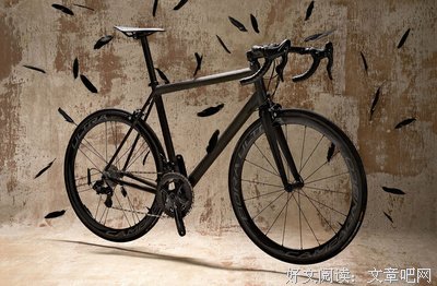 15条关于貌不惊人的经典语句