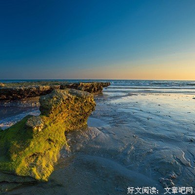 早睡早起，才是性价比最高的活法