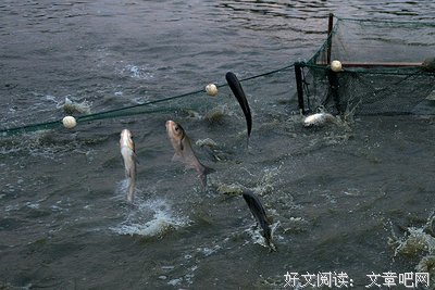 谢子风 ：乡村人家
