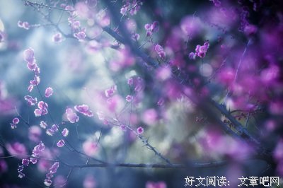 最全的《风会记得一朵花的香》经典句子