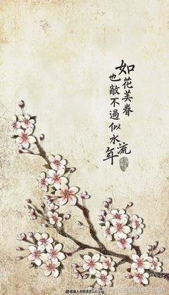 木的句子