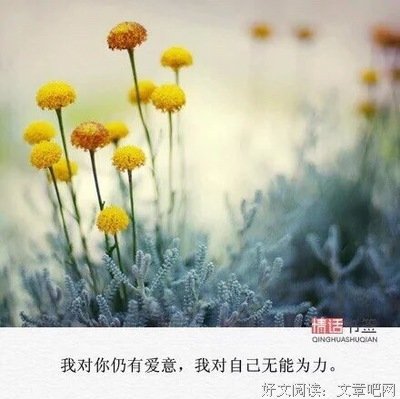 妖精的尾巴好词好句