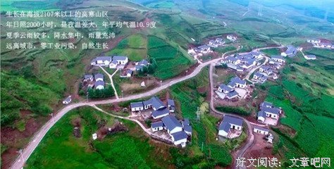扶摇皇作物的句子