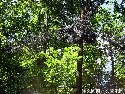 胡搅的句子