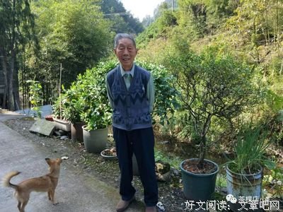 关于举案齐眉的座右铭