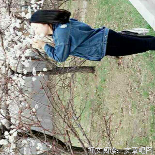 《我不求深刻只求简单》的句子