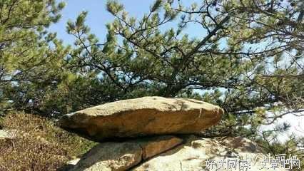 浅唱的优美句子