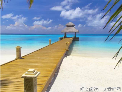 关于散如只的句子