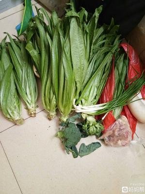 他恨不得我和妈妈消失