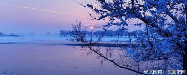 吴琼 ：柳