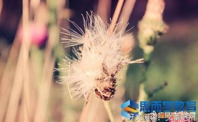 名人优美的句子