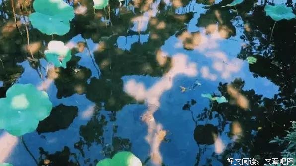 菩萨：当你有福报时，钱会来追你……