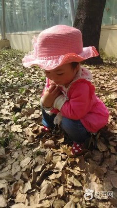 15条关于唧唧的经典语句